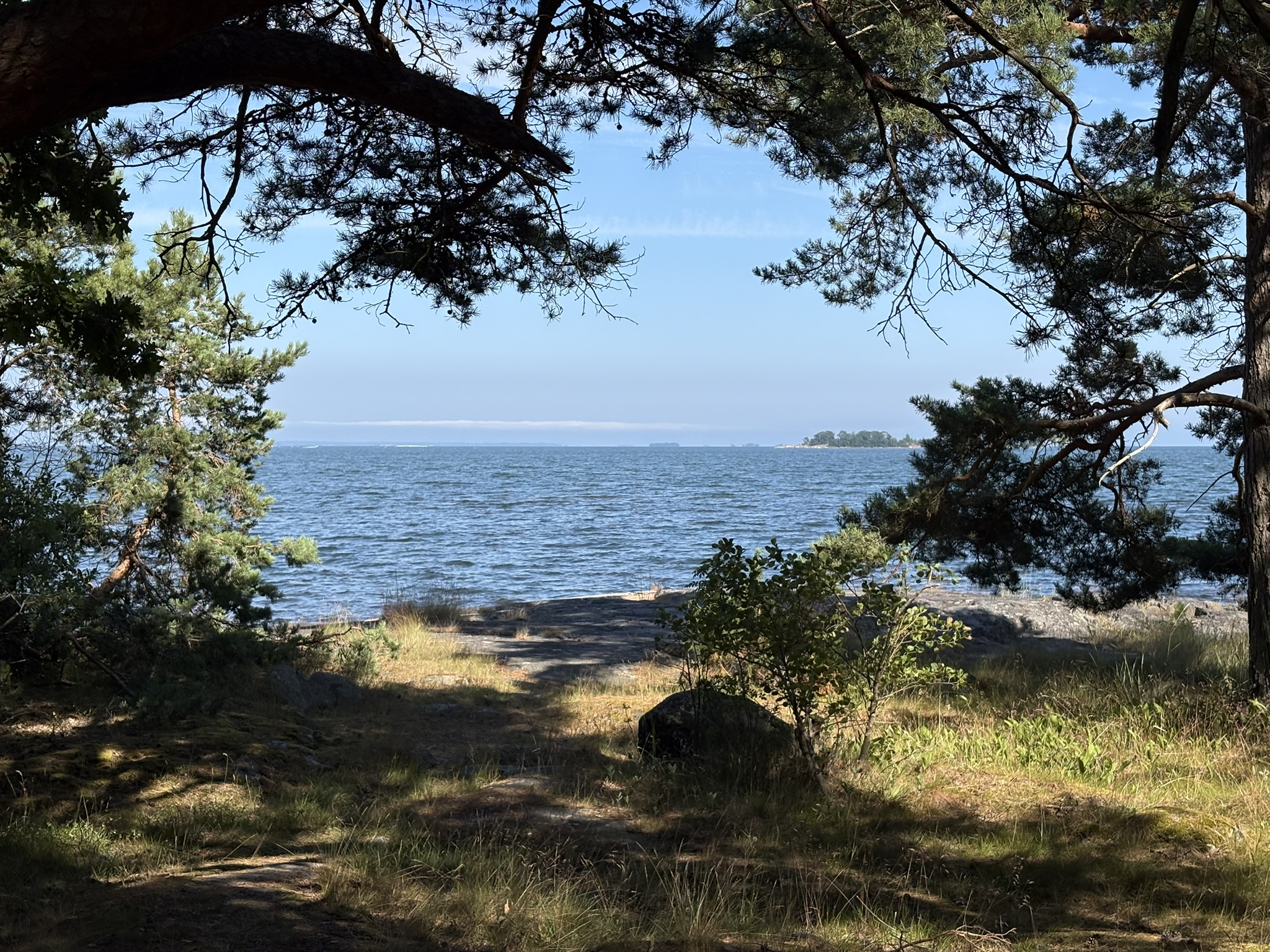 バルト海
